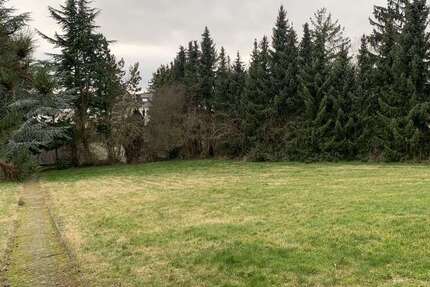 Grundstück Saulheim - 2.450.000&euro; | Angebot:26790043