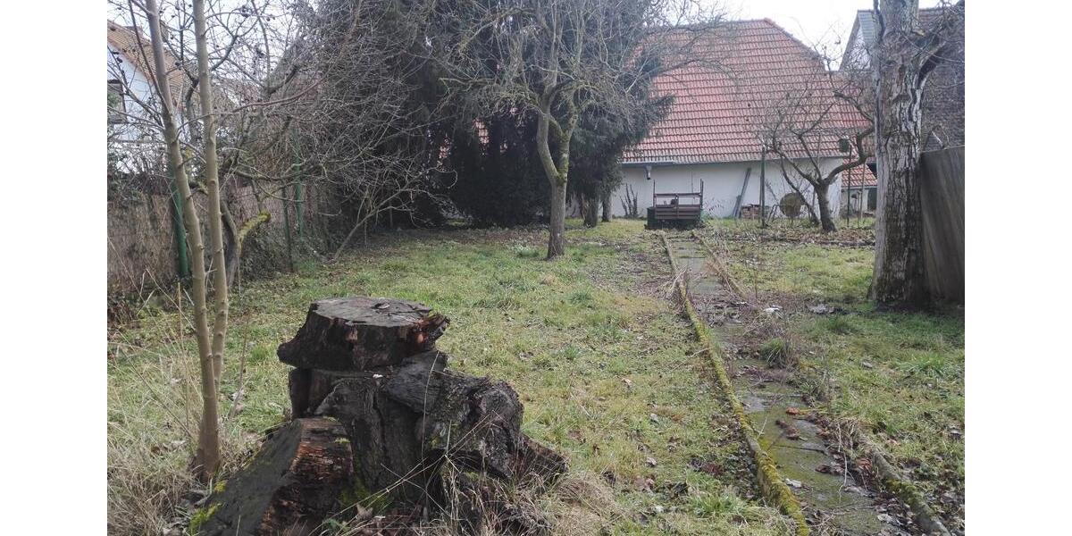 Bauernhaus, Landhaus Hochheim am Main - 5 Zimmer, 118 m&sup2;, 489.000&euro; | Angebot:24754186