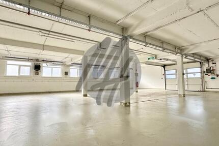 SCHNELL VERFÜGBAR ✓ Lagerflächen (250 m²) zu vermieten zimmer