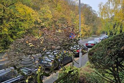 Wohnung Wiesbaden Bierstadt - 2 Zimmer, 57 m&sup2;, 245.000&euro; | Angebot:24709098