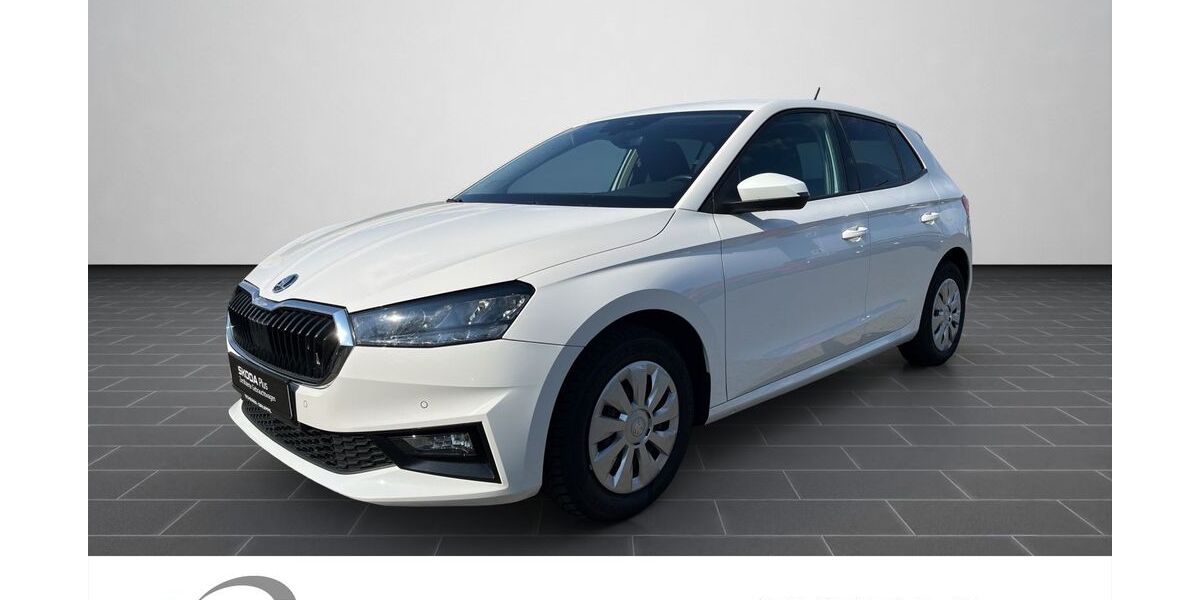 Skoda Fabia 92.337 km 13.680 &euro; Mainz 55129