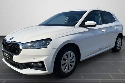 Skoda Fabia 92.337 km 14.780 &euro; Mainz 55129