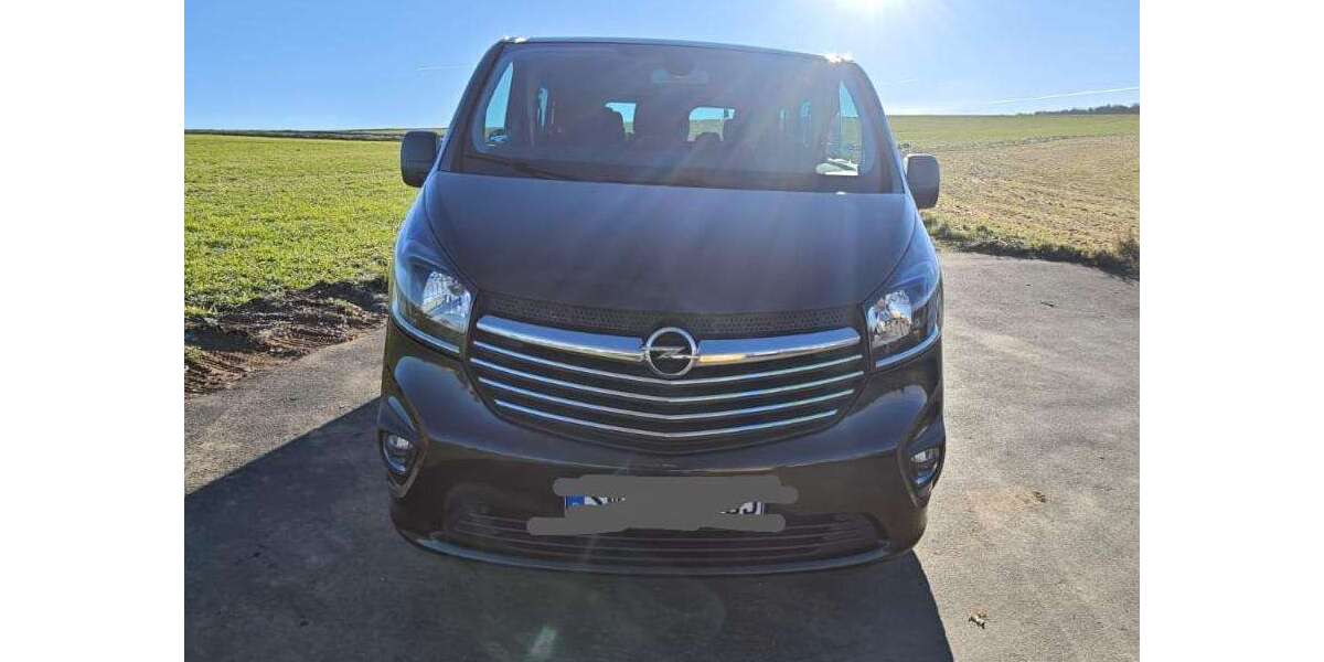 Opel Vivaro 123.418 km 20.500 &euro; Hohenstein 65329