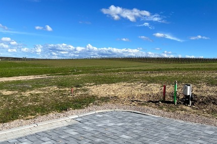 ***Grundstück in Feldrandlage und Südausrichtung*** - Grundstück Partenheim | Angebot:24213489