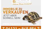 FALANGA ImmobilieN-Begehrter großer Bungalow in prima Zustand und top Grünlage in Mörfelden-Walldorf