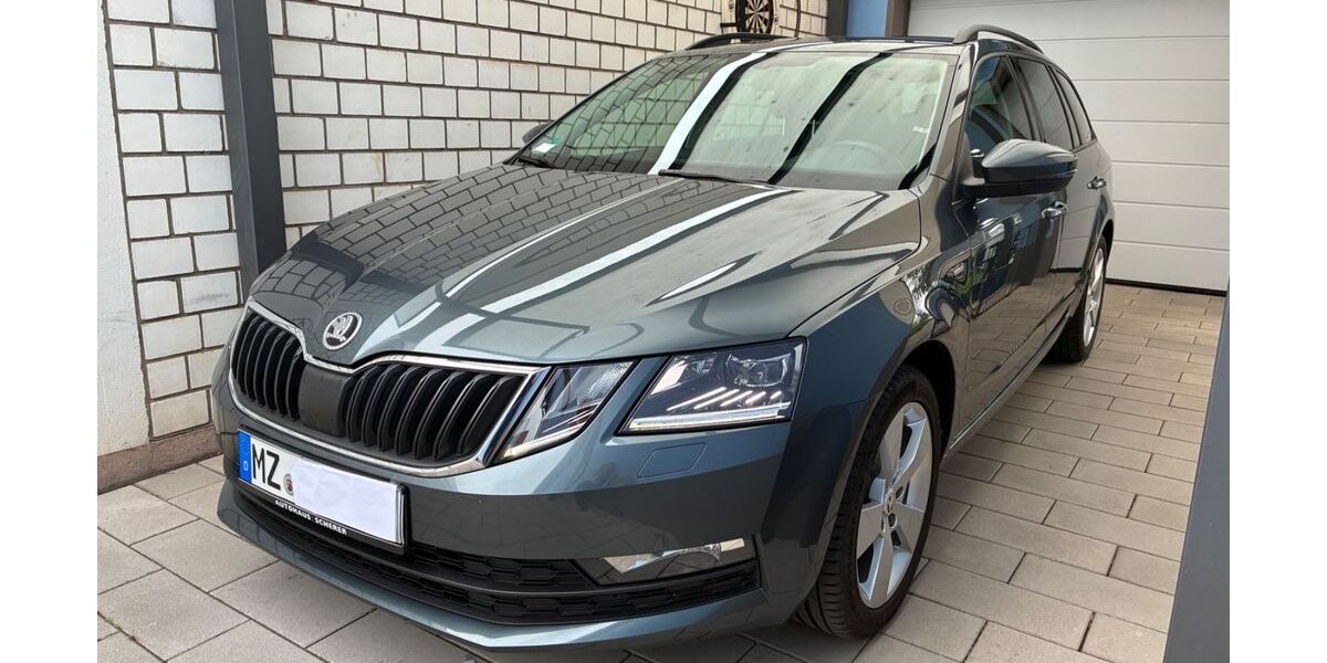 Skoda Octavia 118.850 km 14.300 &euro; Mainz 55120