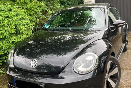VW Beetle 170.000 km 6.500 € Mörfelden-Walldorf 64546