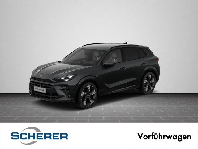 Cupra Terramar 1.990 km 39.690 &euro; Mainz 55129