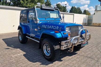 Jeep Wrangler 130.886 km 13.490 &euro; Ginsheim-Gustavsburg 65462