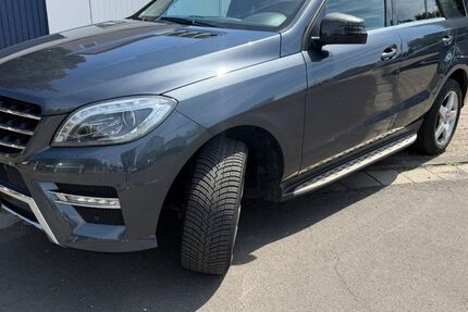 Mercedes-Benz ML 350 172.870 km 17.999 &euro; Sulzbach 65843