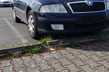 Skoda Octavia 245.000 km 2.250 &euro; Mainz 55129
