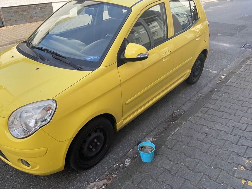 Picanto