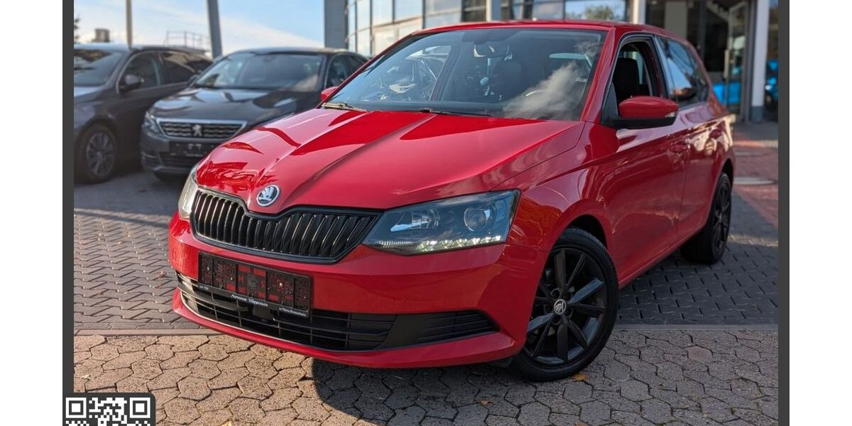 Skoda Fabia 150.000 km 8.990 &euro; Mainz 55128