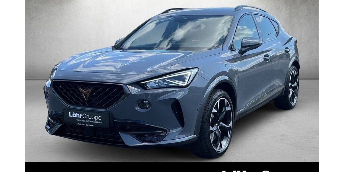 Cupra Formentor 17.759 km 27.930 &euro; Mainz 55120