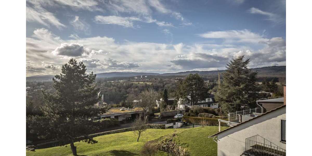 Einfamilienhaus Wiesbaden Bierstadt - 8 Zimmer, 456 m&sup2;, 3.500.000&euro; | Angebot:25381814