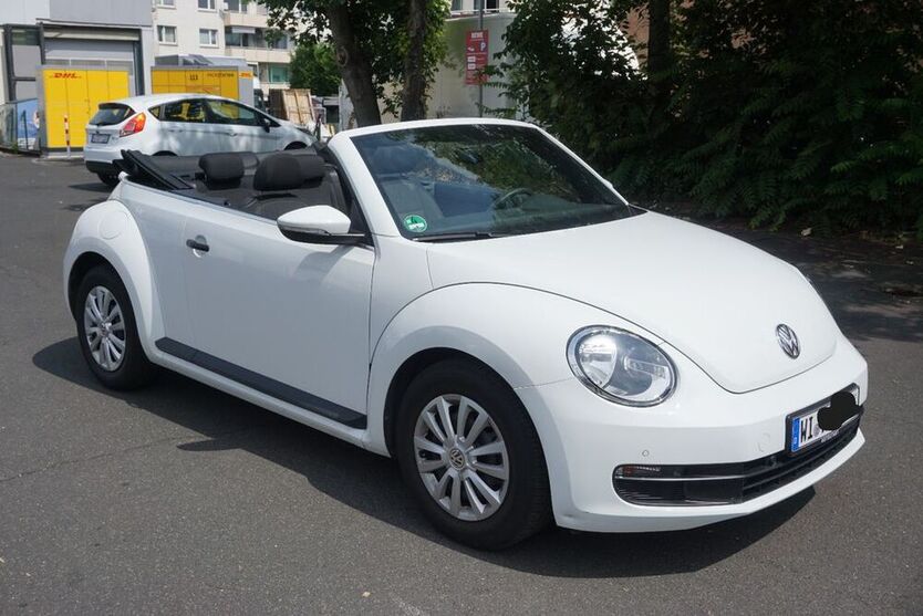 Beetle