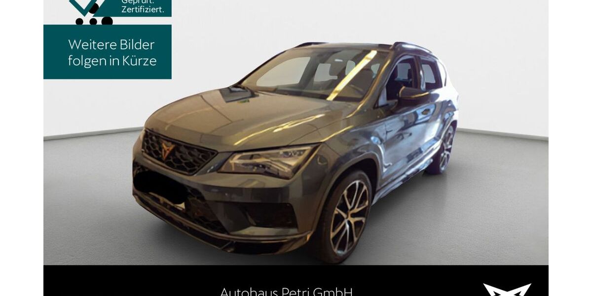 Cupra Ateca 73.357 km 23.990 &euro; Hofheim-Diedenbergen 65719