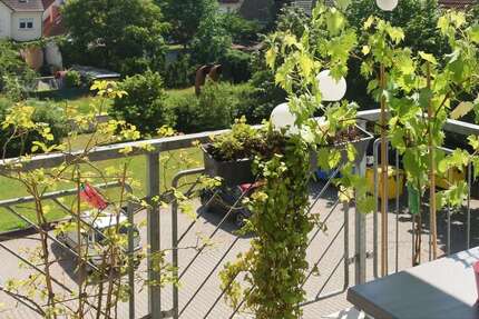 Wohnung Rüsselsheim - 1 Zimmer, 40 m&sup2;, 580&euro; | Angebot:27317224
