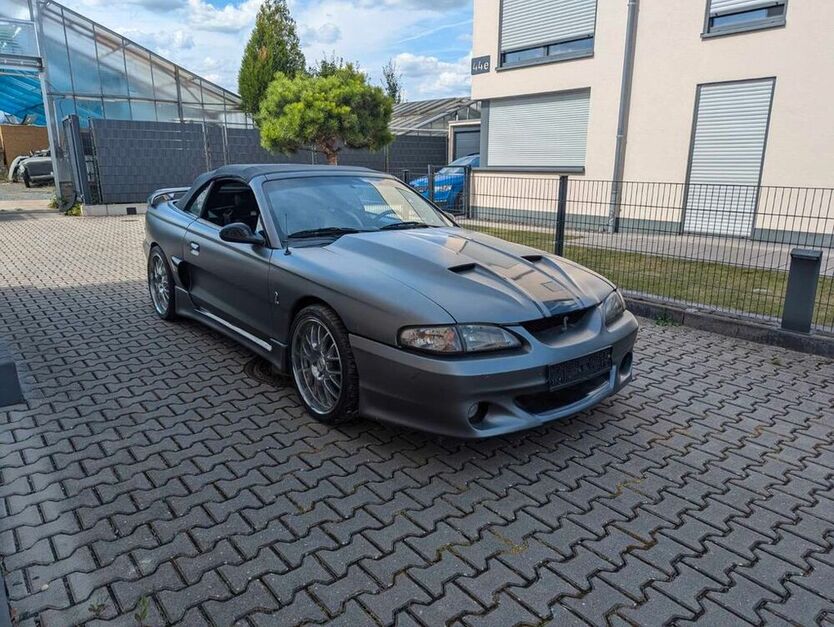 Mustang