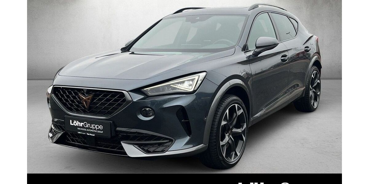 Cupra Formentor 18.222 km 33.780 &euro; Mainz 55120
