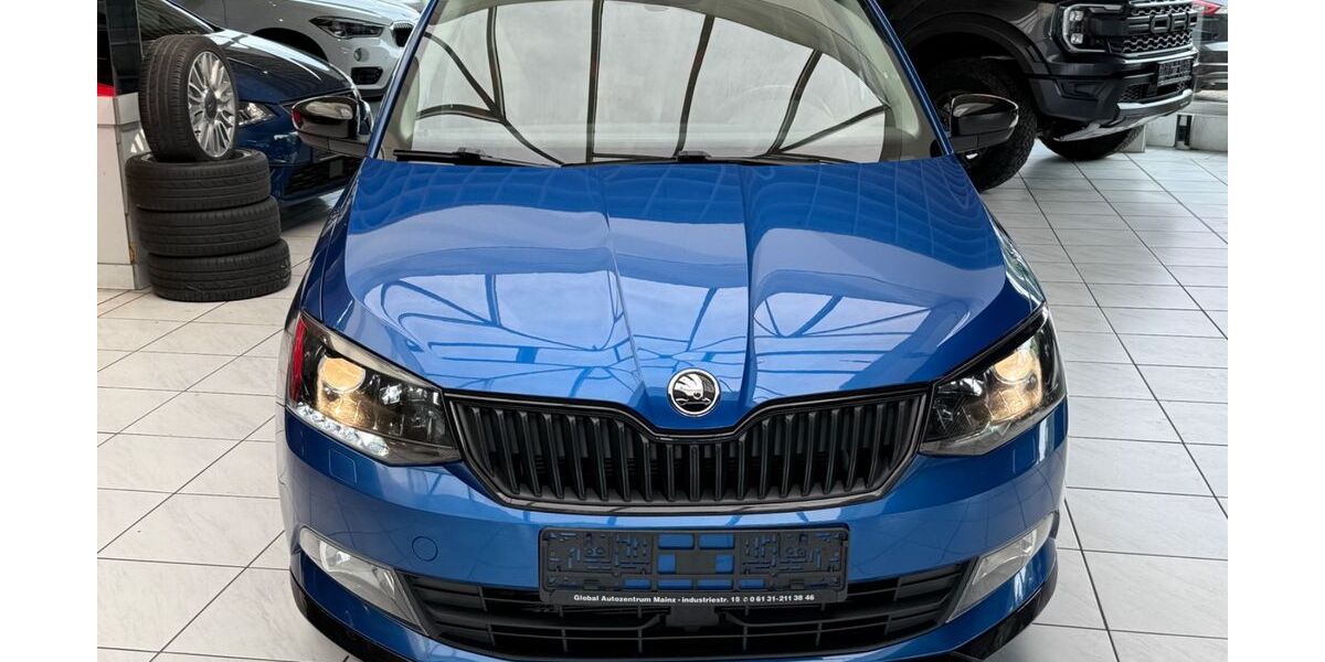 Skoda Fabia 99.900 km 9.900 &euro; Mainz 55120
