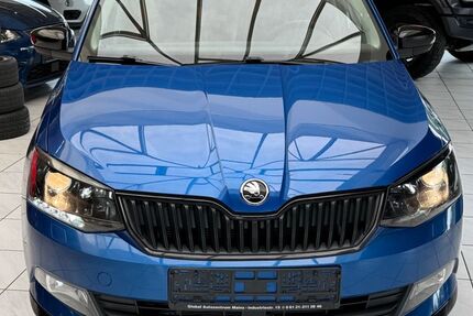 Skoda Fabia 99.900 km 9.999 &euro; Mainz 55120