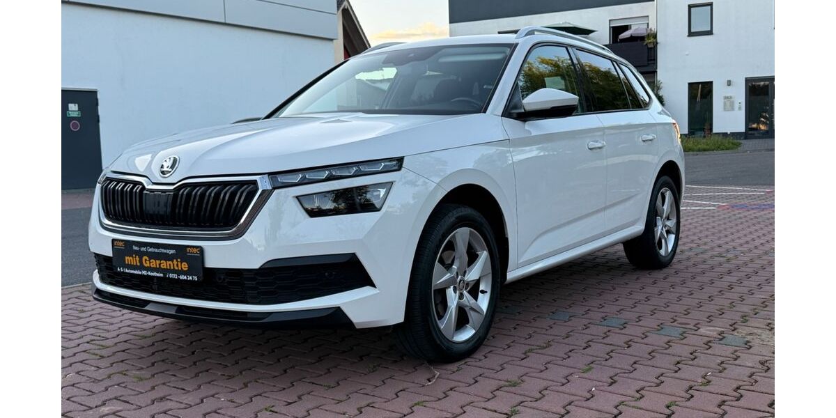 Skoda Kamiq 129.800 km 17.300 € Mainz-Kostheim 55246