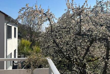 4-Zi-Wohnung direkt am Wald (Zwischenmiete 5-12 Monate) 4 zimmer