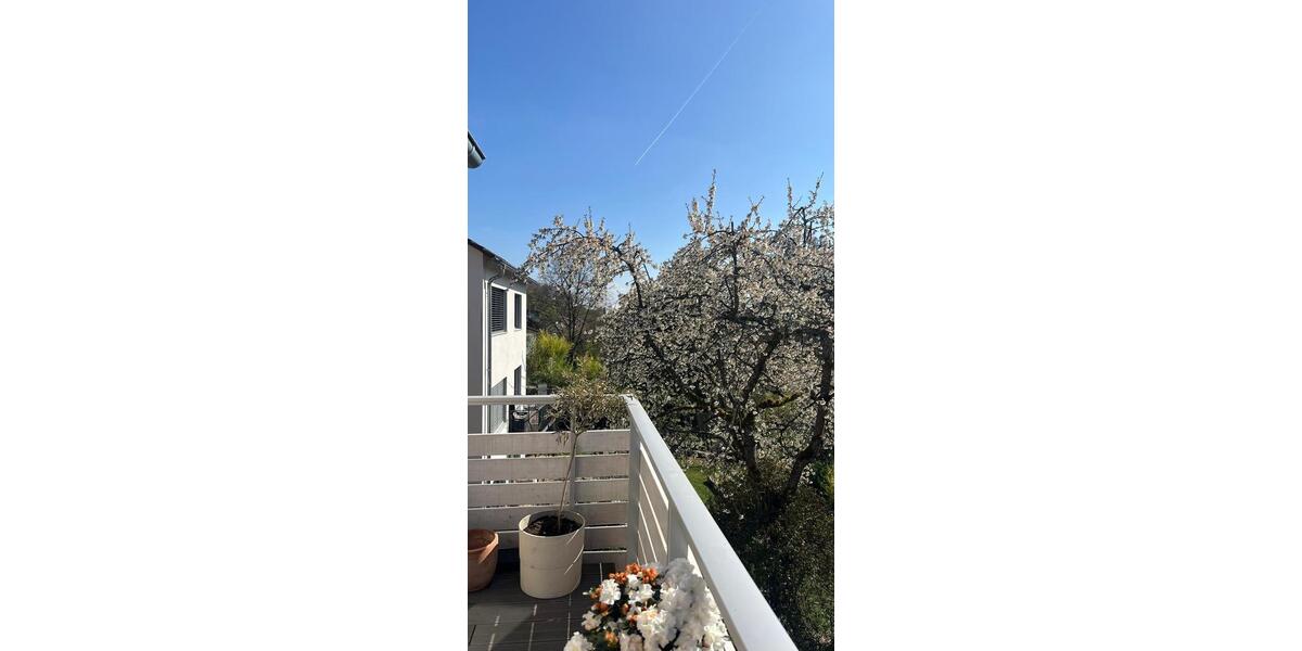 4-Zi-Wohnung direkt am Wald (Zwischenmiete 5-12 Monate) 4 zimmer