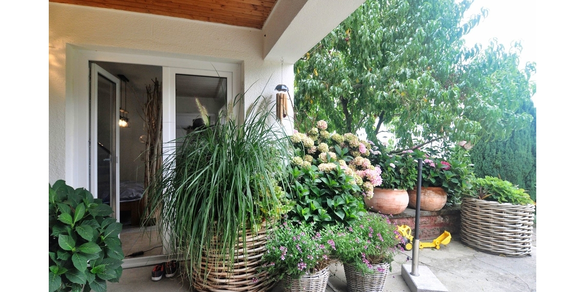 Mehrfamilienhaus mit Bauplatz in Ruppertshain - Mehrfamilienhaus, Wohnhaus Kelkheim | Angebot:23618439