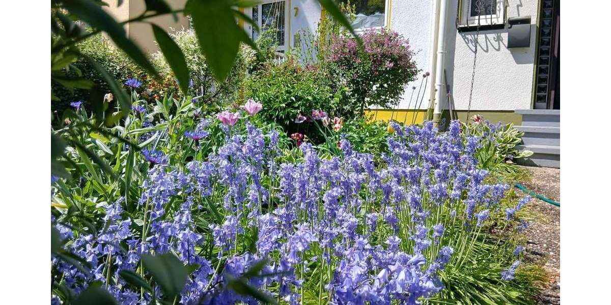 Einfamilienhaus Frankfurt am Main Nord-West - 5 Zimmer, 142 m&sup2;, 750.000&euro; | Angebot:26494115