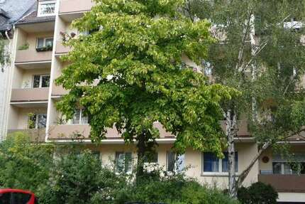 Wohnung Wiesbaden Rheingauviertel / Hollerborn - 1 Zimmer, 37 m&sup2;, 550&euro; | Angebot:25421342