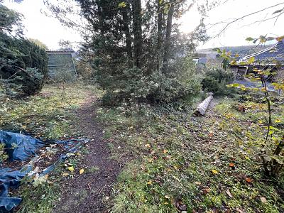 ROHDIAMANT MIT ERHOLUNGSCHARAKTER - Grundstück Rettert | Angebot:24974728