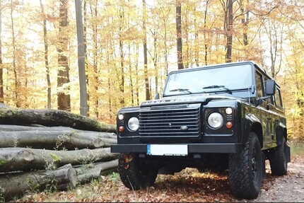 Land Rover Defender 100.000 km 45.000 € Dienheim 55276