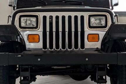Jeep Wrangler 110.000 km 17.990 &euro; Mainz 55128
