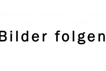 Renault Megane E-TECH 20.248 km 27.990 &euro; Wiesbaden 65191