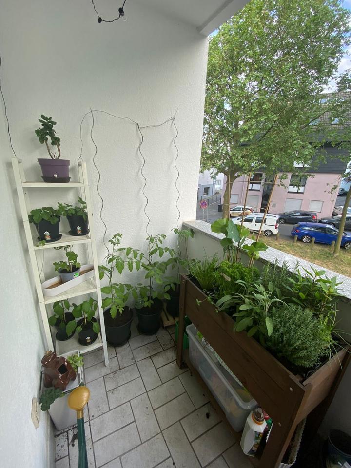 2-Zi-Eigentumswohnung (57 m²) mit Balkon & Stellplatz zimmer