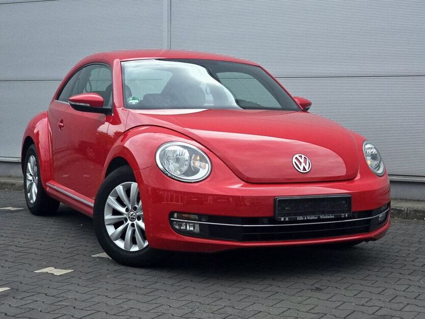 Beetle