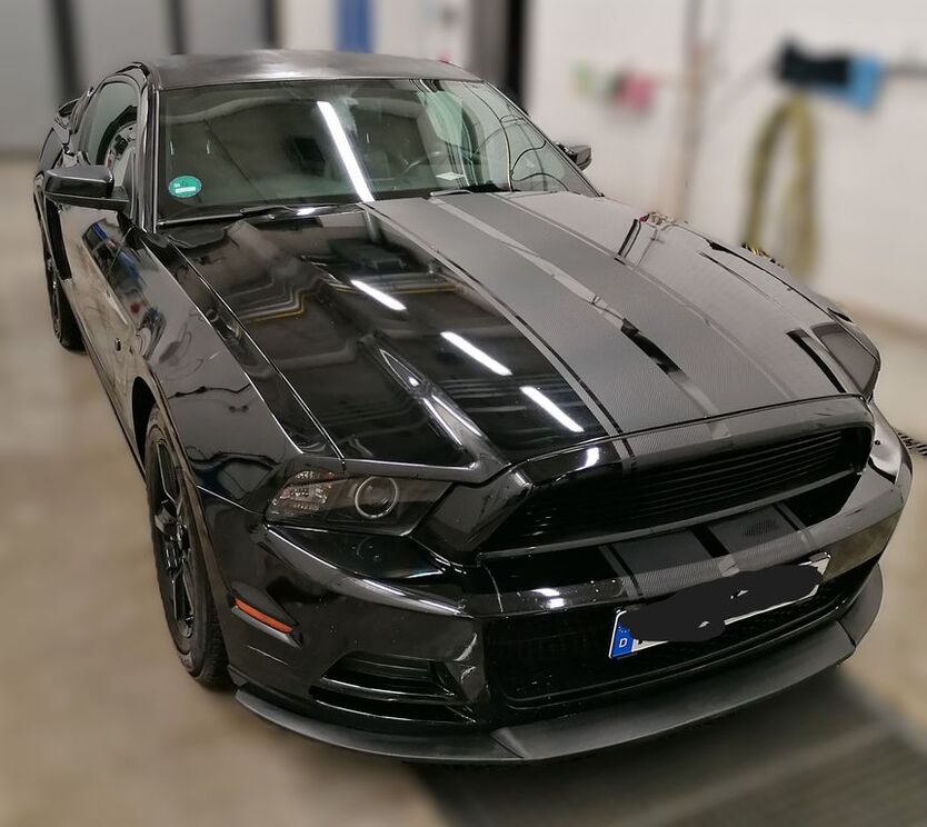 Mustang