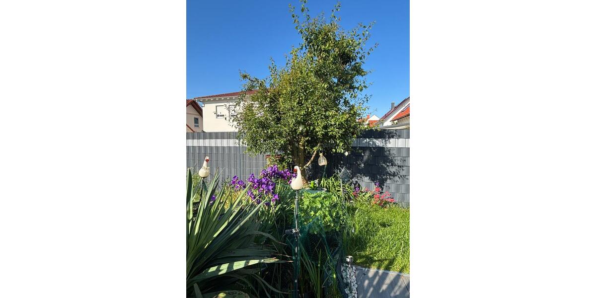 Sehr schöne Doppelhaus- Hälfte mit Wintergarten 6 zimmer