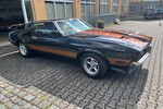 Mustang