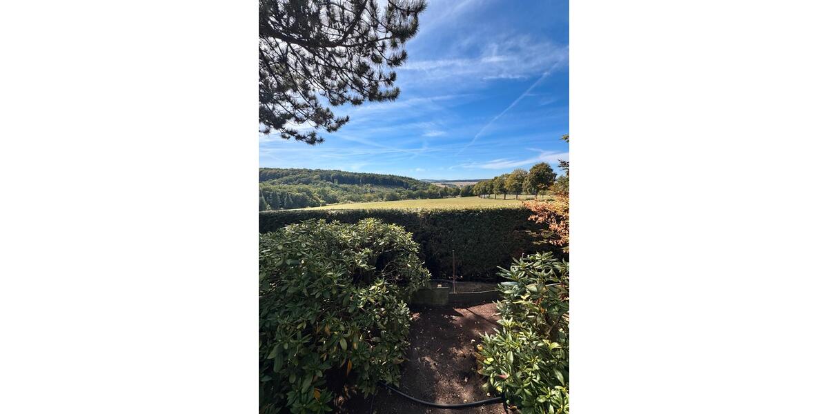 Einfamilienhaus Holzhausen an der Haide - 6 Zimmer, 265 m&sup2;, 639.000&euro; | Angebot:25894076