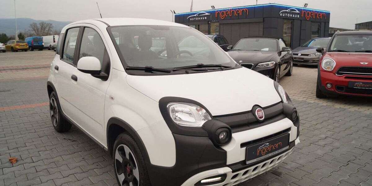 Fiat Panda 49.833 km 11.890 &euro; Ingelheim 55218
