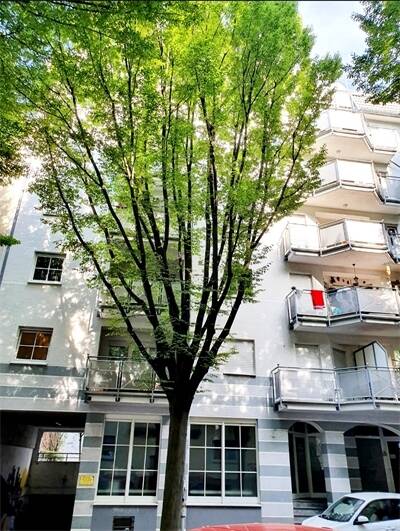 Gewerbeobjekt Wiesbaden Nordost - 2 Zimmer, 349.600&euro; | Angebot:25673121