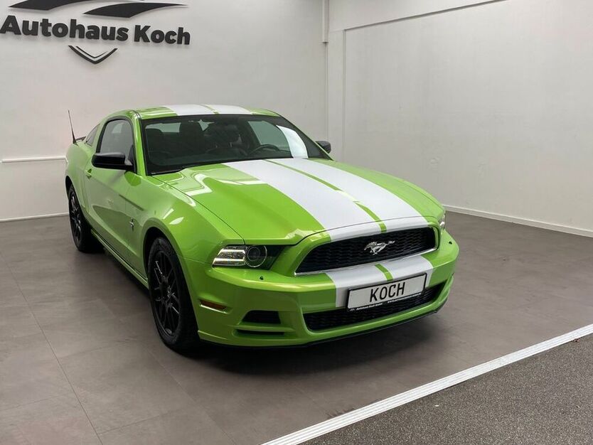 Mustang