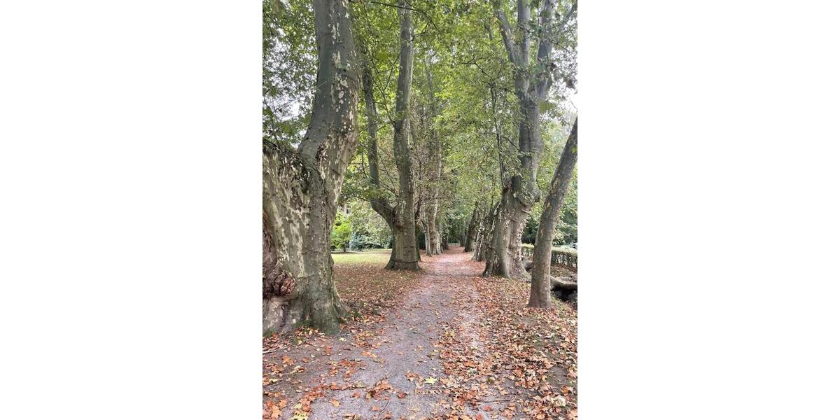 Exklusives Wohnen am Park 1.5 zimmer