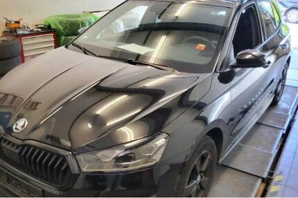 Skoda Fabia 50.858 km 21.980 &euro; Mainz 55129