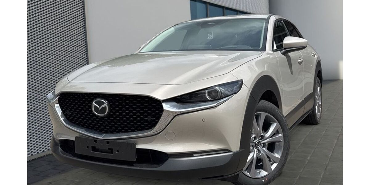 Mazda CX-30 3.980 km 30.490 € Niedernhausen 65527