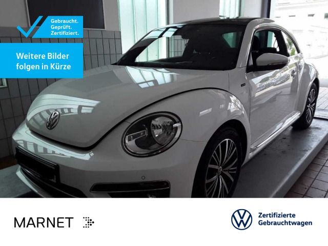 Beetle