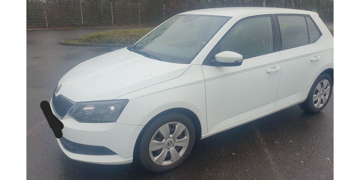 Skoda Fabia 124.100 km 8.500 &euro; Wiesbaden 65205